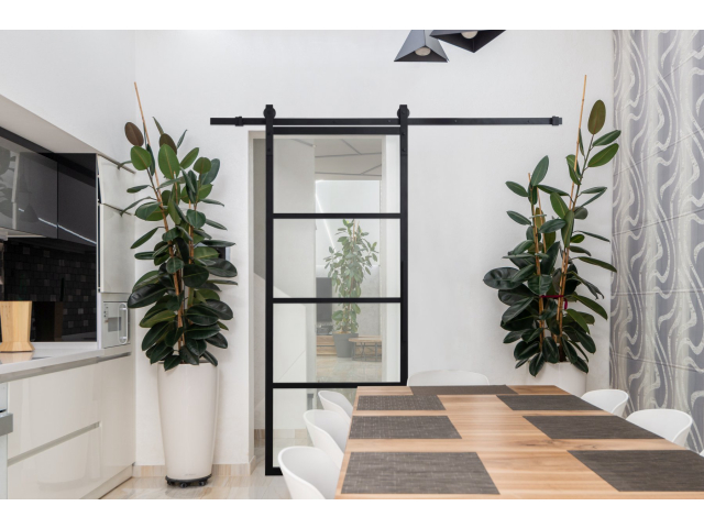 Türen mit Schmiedeeisen Klasiko Aluminium 01 schwarz CLR