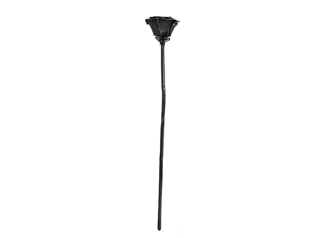 Rose h380, D65, d6 mm, black, Patina